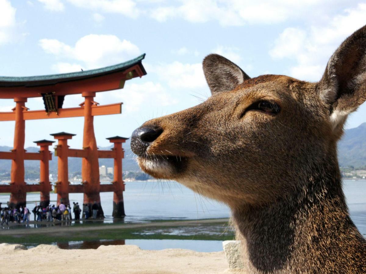 הצוקייצ'י Global Resort Miyajima View מראה חיצוני תמונה